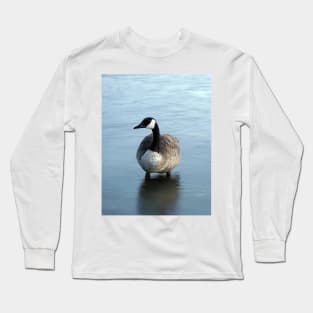 Evening Goose Long Sleeve T-Shirt